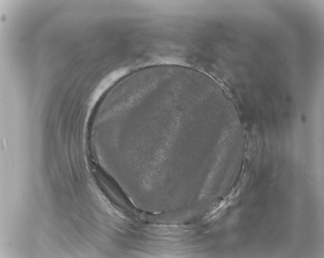 X0000060220104200511111847
