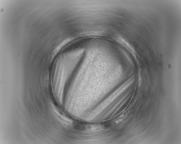 X0000060220107200511111847