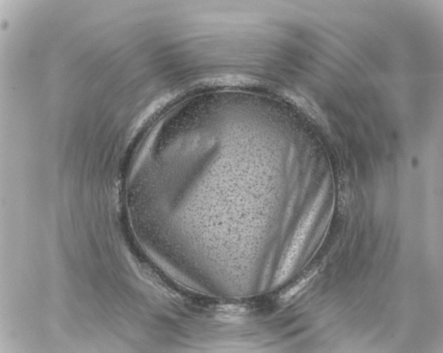 X0000060220111200511111847