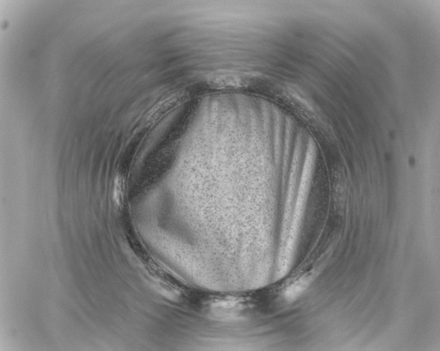 X0000060220125200511111847