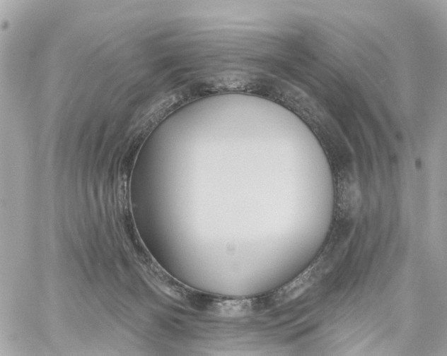 X0000060220126200511111847