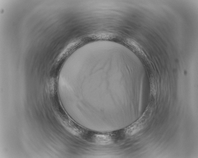 X0000060220167200511111846