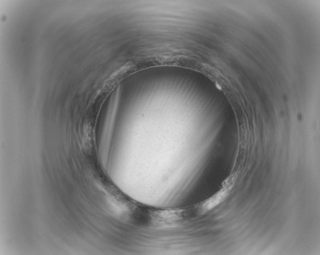 X0000060220184200511111846