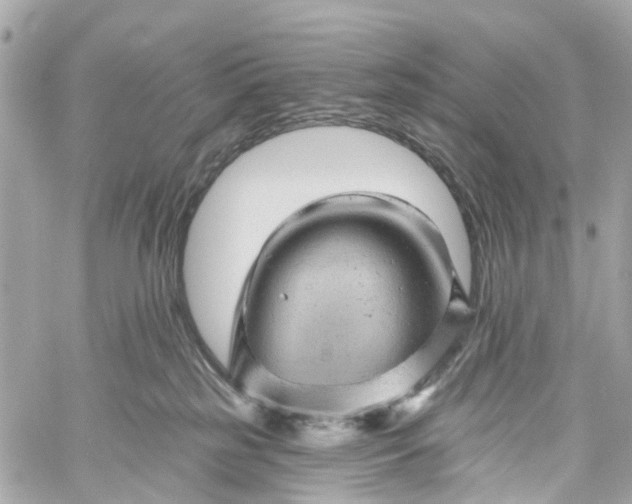 X0000060220185200511111846