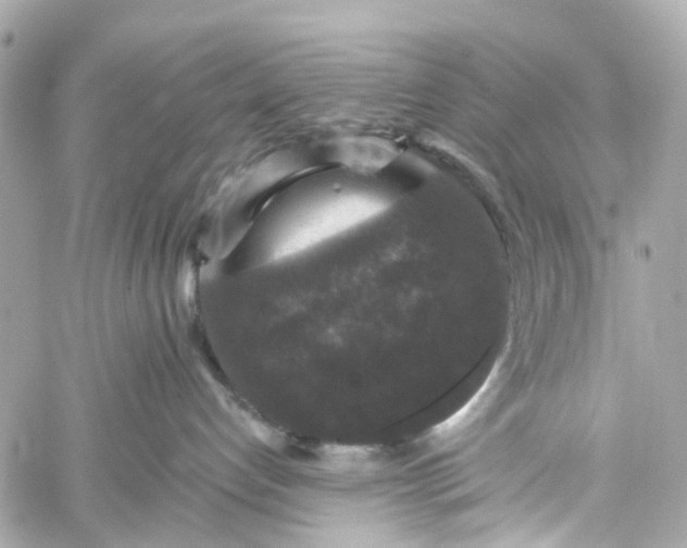 X0000060220192200511111847