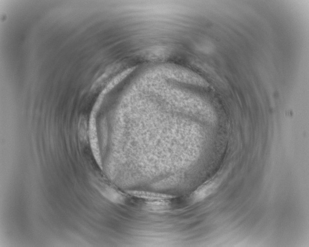 X0000060220240200511111845