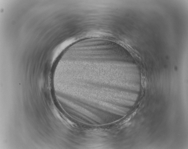 X0000060220244200511111844