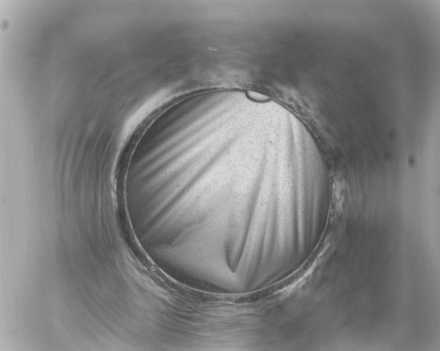 X0000060220246200511111844