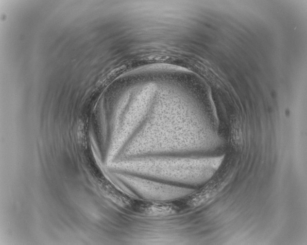 X0000060220270200511111845