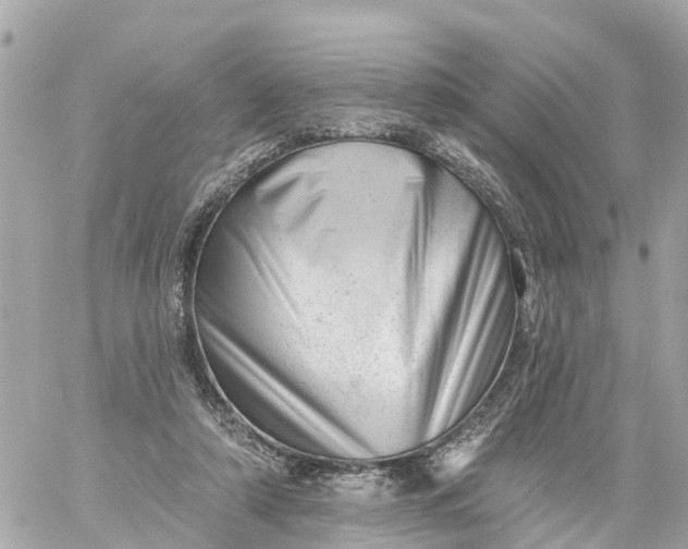 X0000060220306200511111844