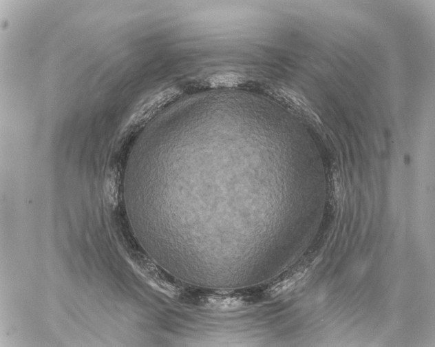 X0000060220311200511111844