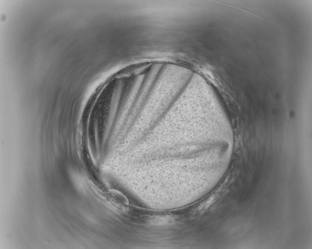 X0000060220342200511111843