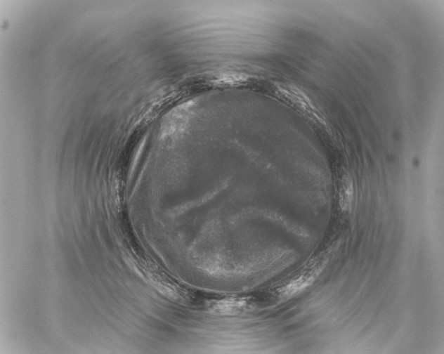 X0000060220366200511111843