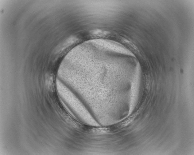 X0000060220378200511111843