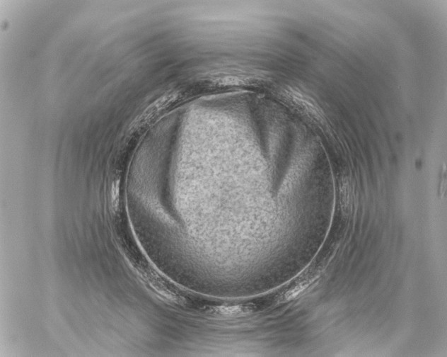 X0000060220406200511111842