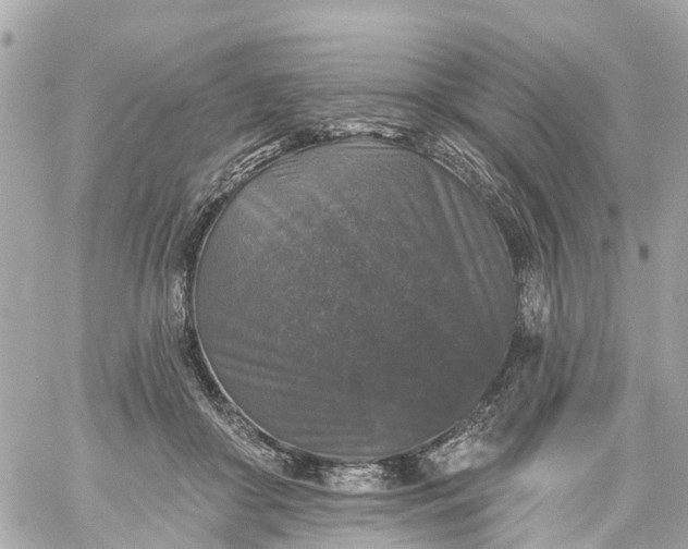X0000060220410200511111842