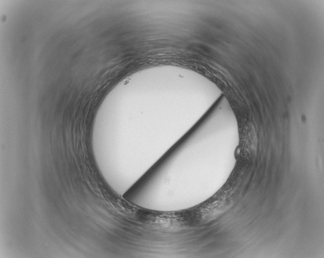 X0000060220420200511111842
