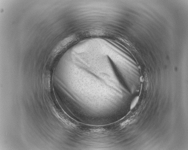 X0000060220446200511111841