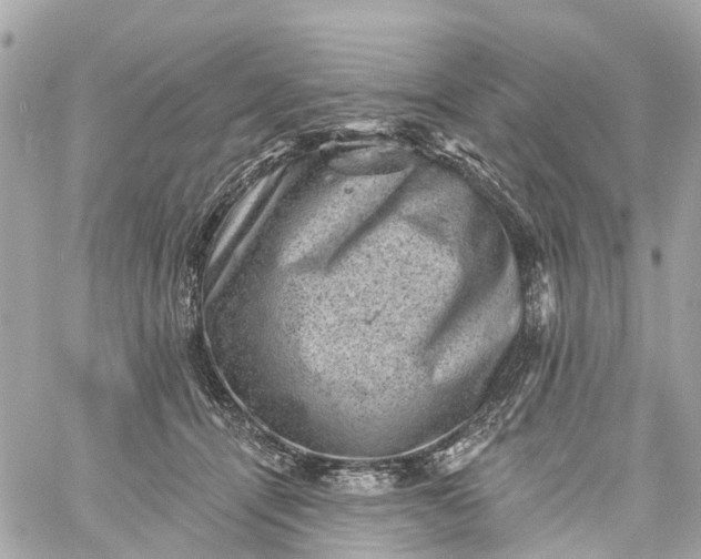 X0000060220464200511111842