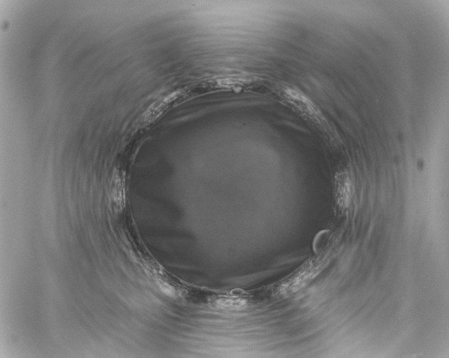 X0000060220471200511111842