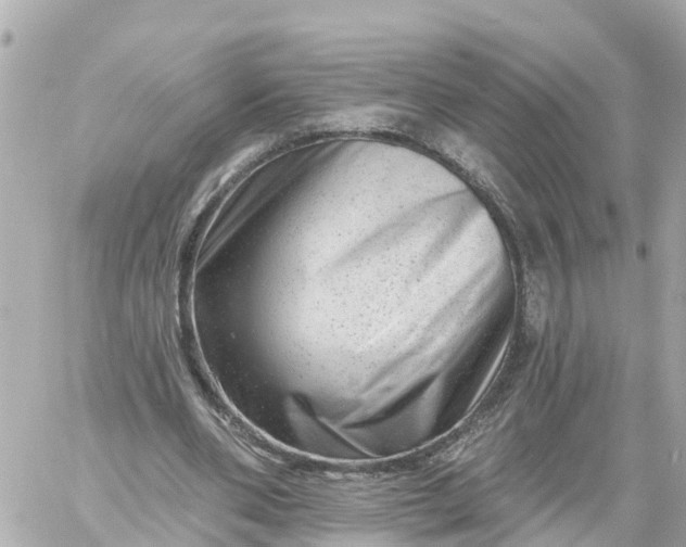 X0000060220486200511111841