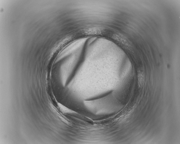 X0000060220490200511111841