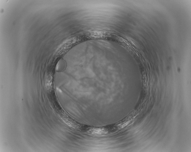 X0000060220507200511111841