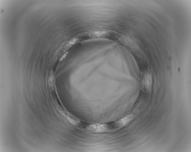 X0000060220526200511111840