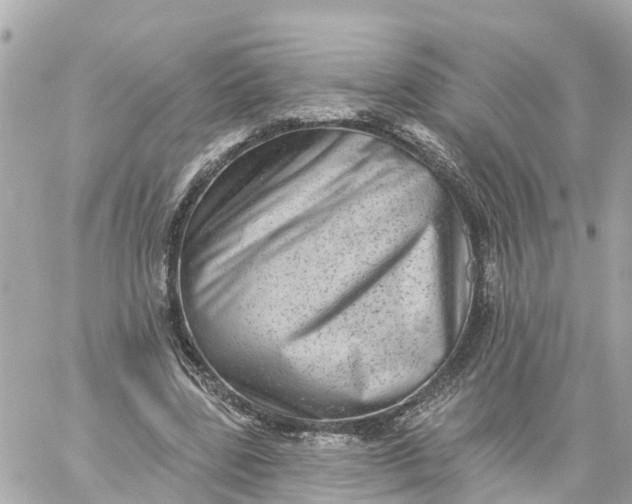 X0000060220539200511111840