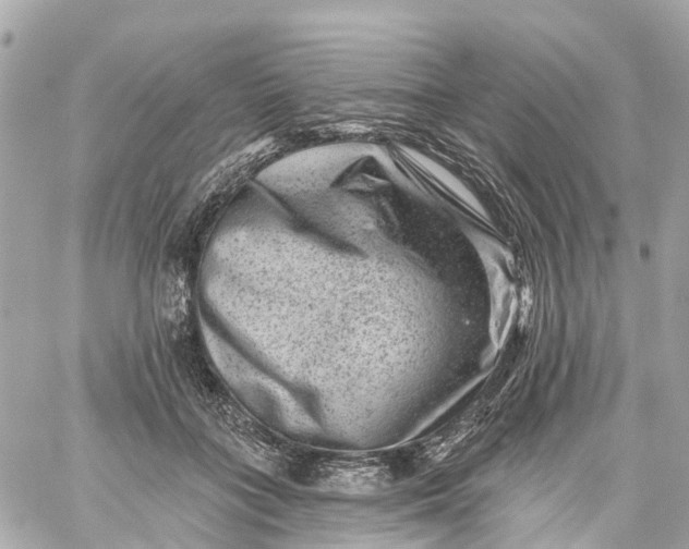 X0000060220555200511111840