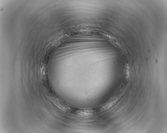 X0000060220567200511111840