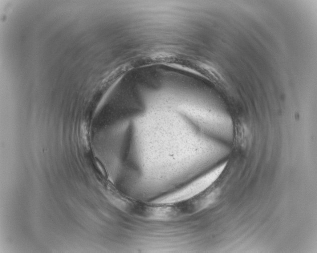 X0000060220575200511111840