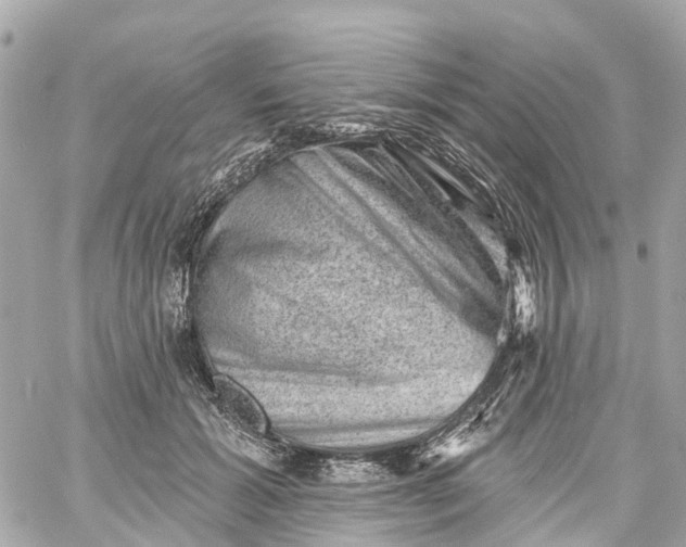 X0000060220605200511111839