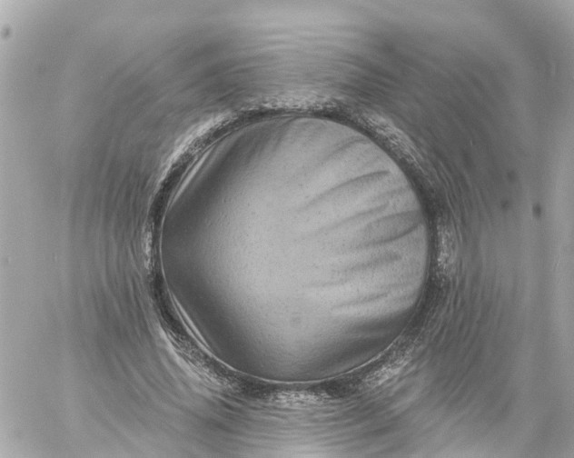 X0000060220636200511111838