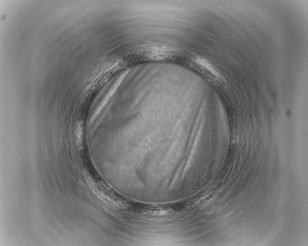 X0000060220646200511111838