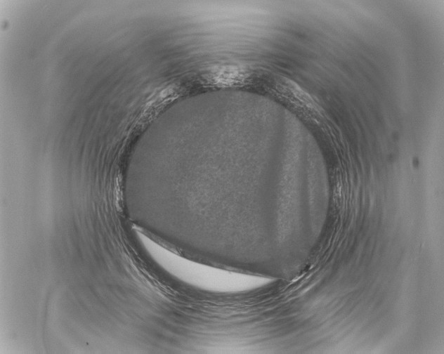 X0000060220651200511111838