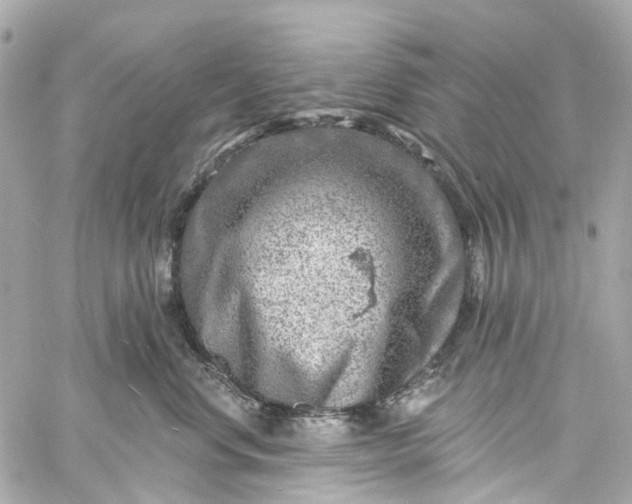 X0000060220668200511111839