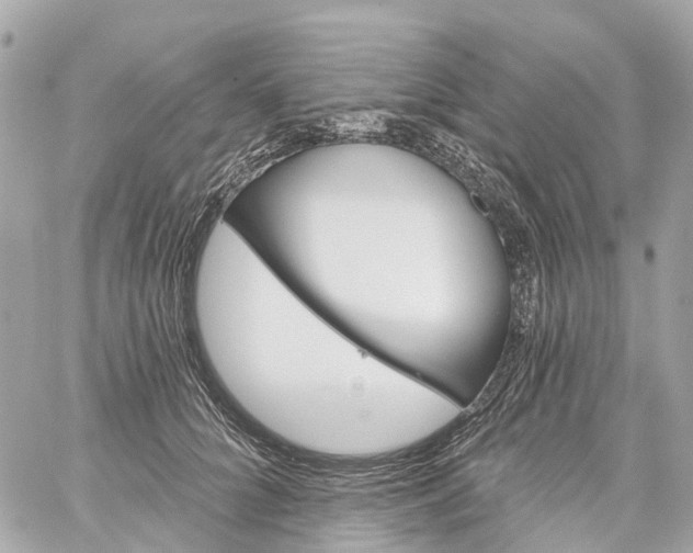 X0000060220704200511111837