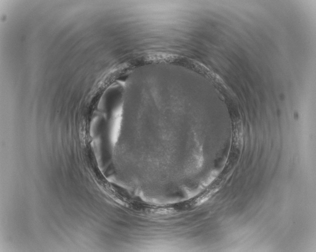 X0000060220716200511111837