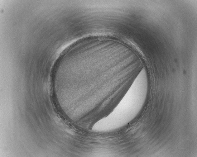 X0000060220724200511111836