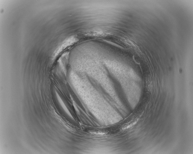 X0000060220735200511111836