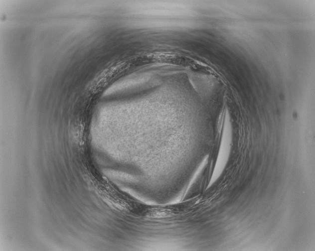 X0000060220750200511111837