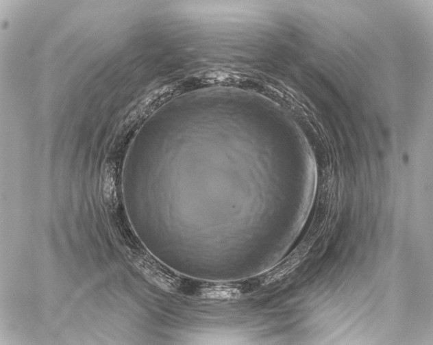 X0000060220754200511111837