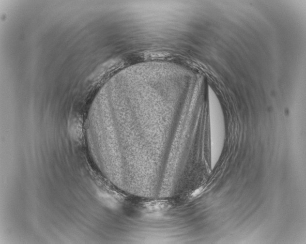 X0000060220761200511111837