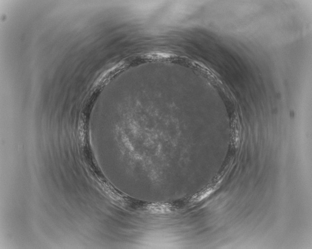 X0000060220762200511111837