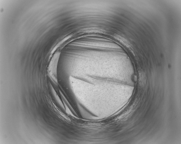 X0000060220782200511111836