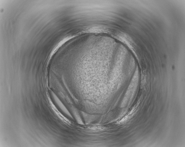 X0000060220795200511111836