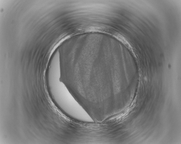 X0000060220798200511111836