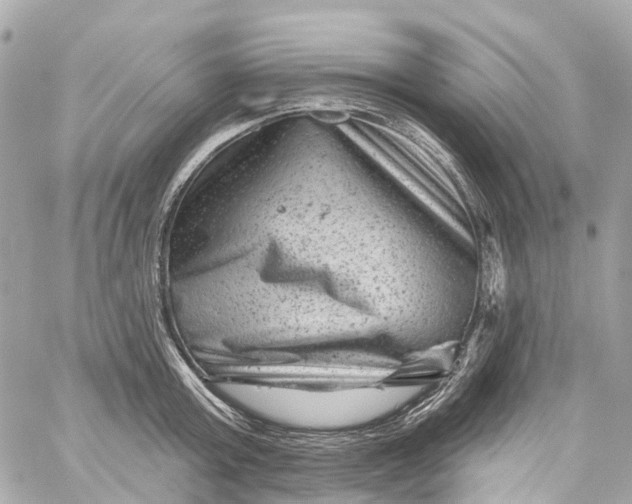 X0000060220803200511111836