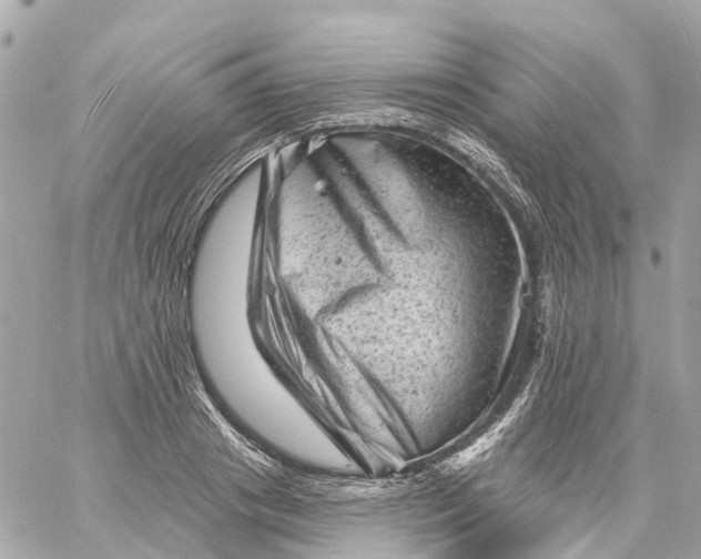 X0000060220841200511111835